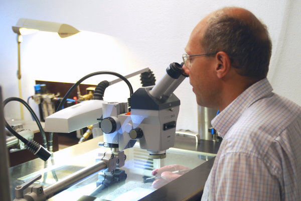 Bundenbach_Fossil_Preparation