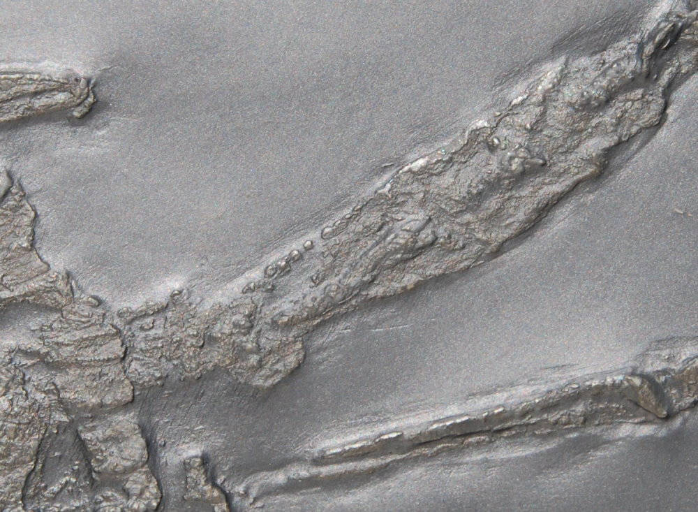 Palaeoisopus problematicus_Bundenbach_3