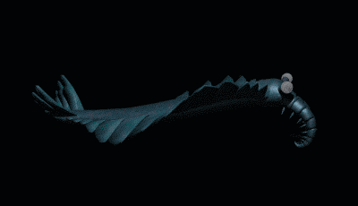 Bundenbach_Trilobites_Swimming_GONIII