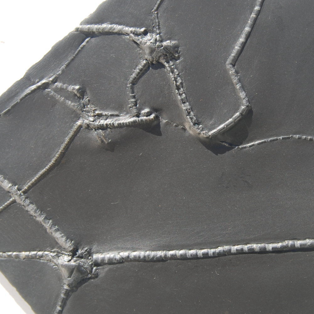 Triacrinus koeniswaldi, Bactrocrinites jaekeli_Bundenbach_zoom